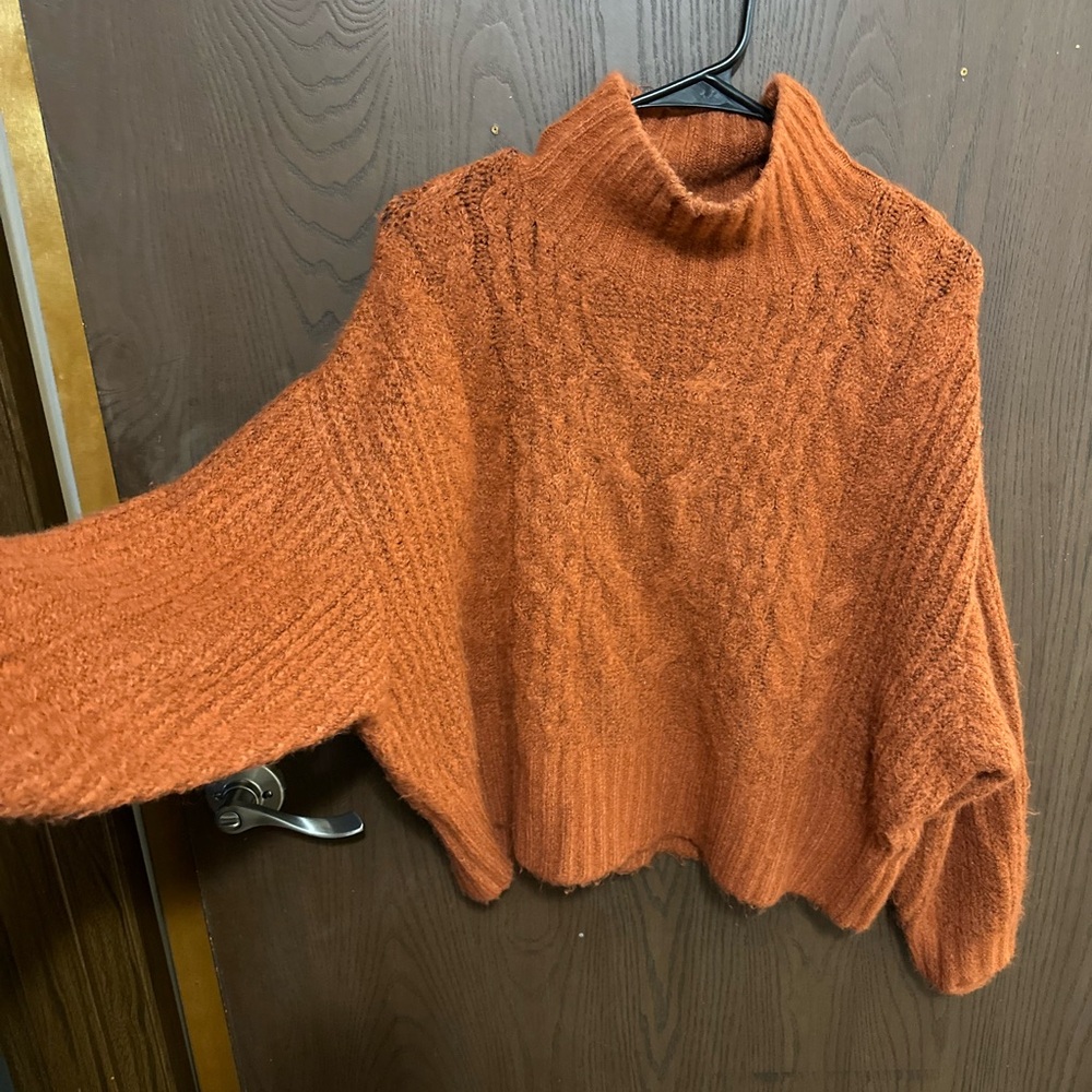 Express Rust Cable Knit Turtleneck Sweater